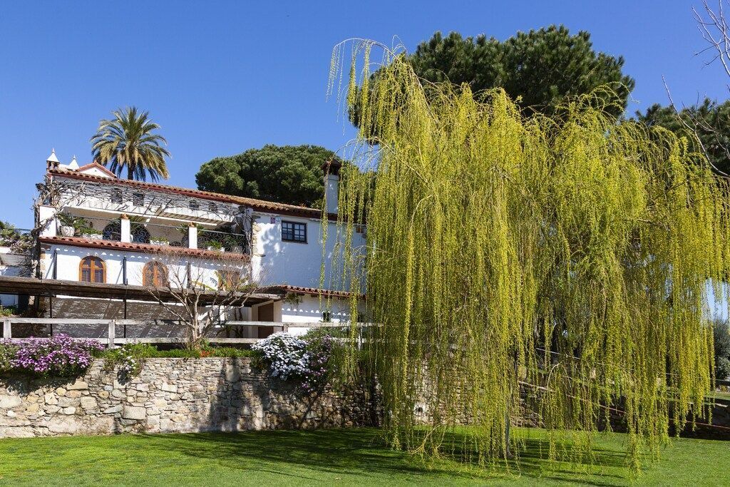 Photo of Outdoor in Pineda de Mar