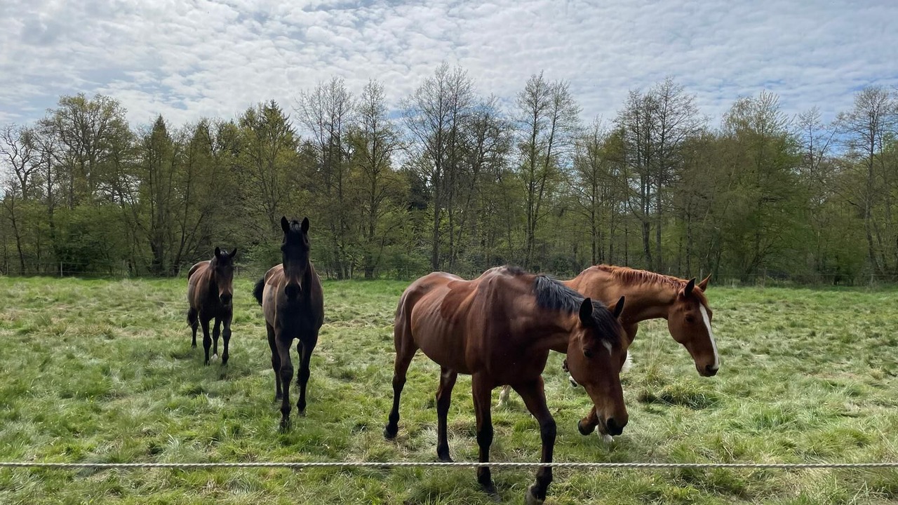 Photo of Others in Isdes