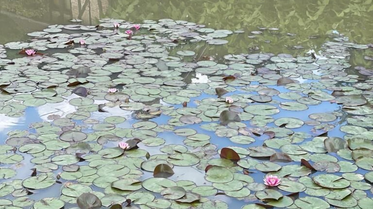 Photo of Outdoor in Isdes