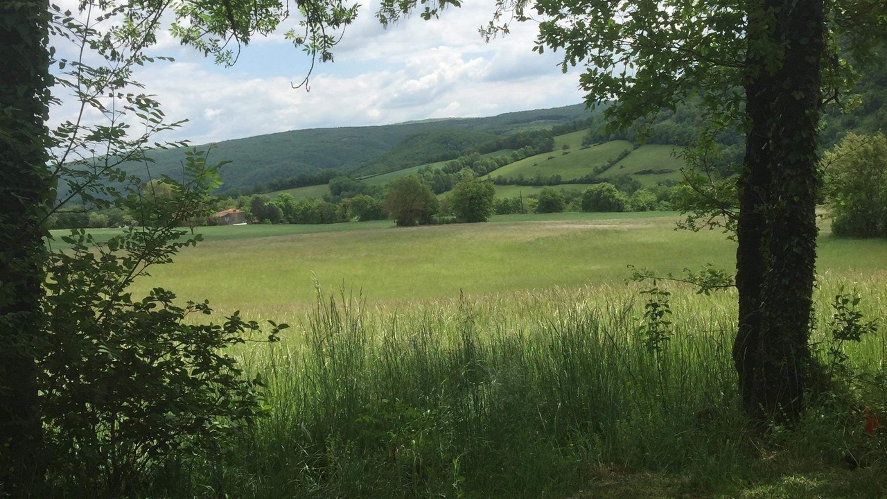 Photo of Others in Saint-Antonin Noble Val