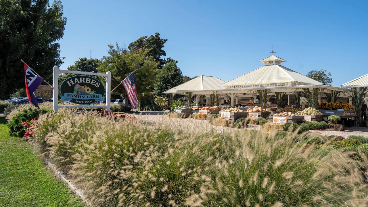 Photo of Others in East Marion