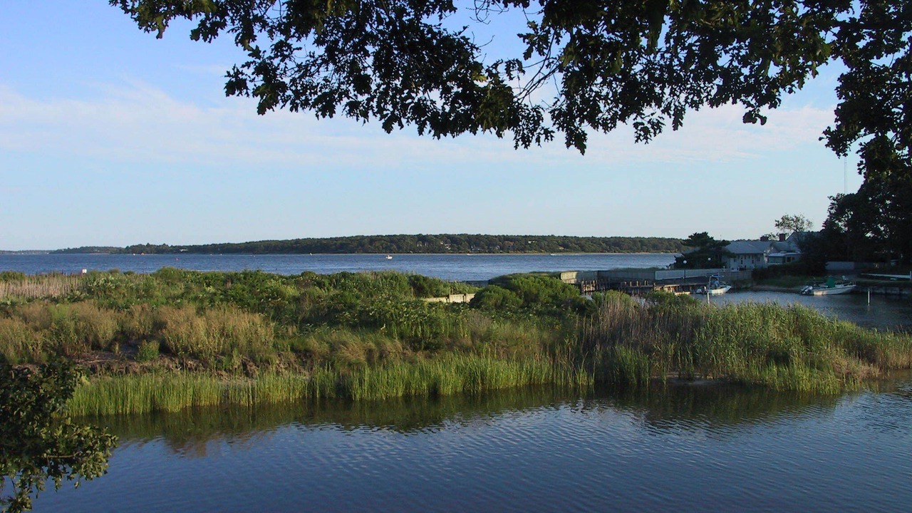 Photo of Others in East Marion