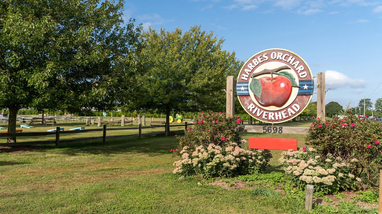 Photo of Others in East Marion