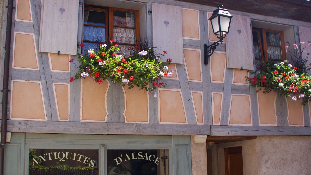 Photo of Outdoor in Beblenheim