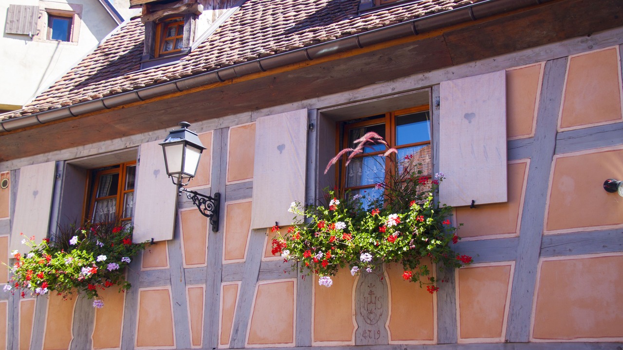 Photo of Outdoor in Beblenheim