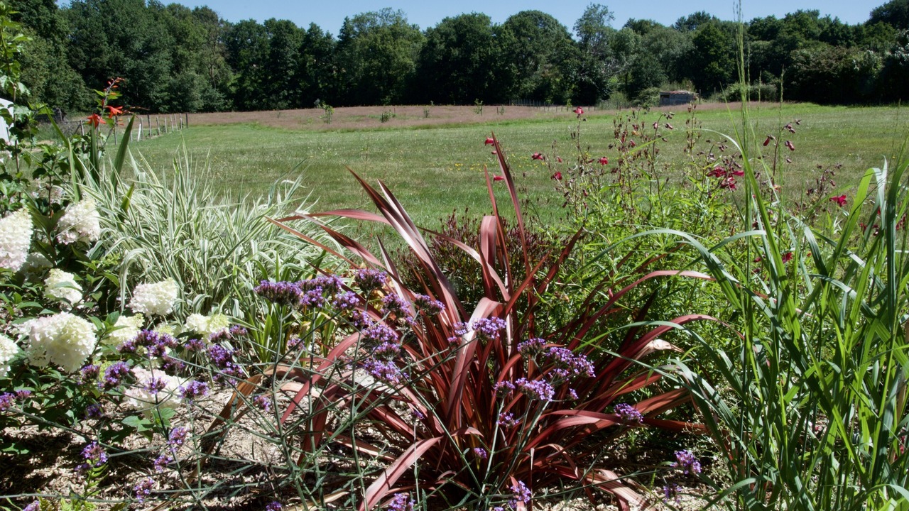 Photo of Outdoor in Dompierre-sur-Yon
