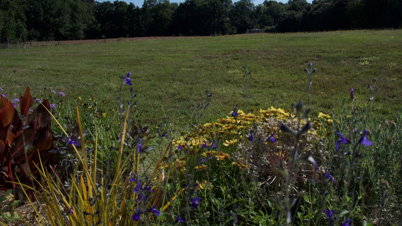Photo of Outdoor in Dompierre-sur-Yon