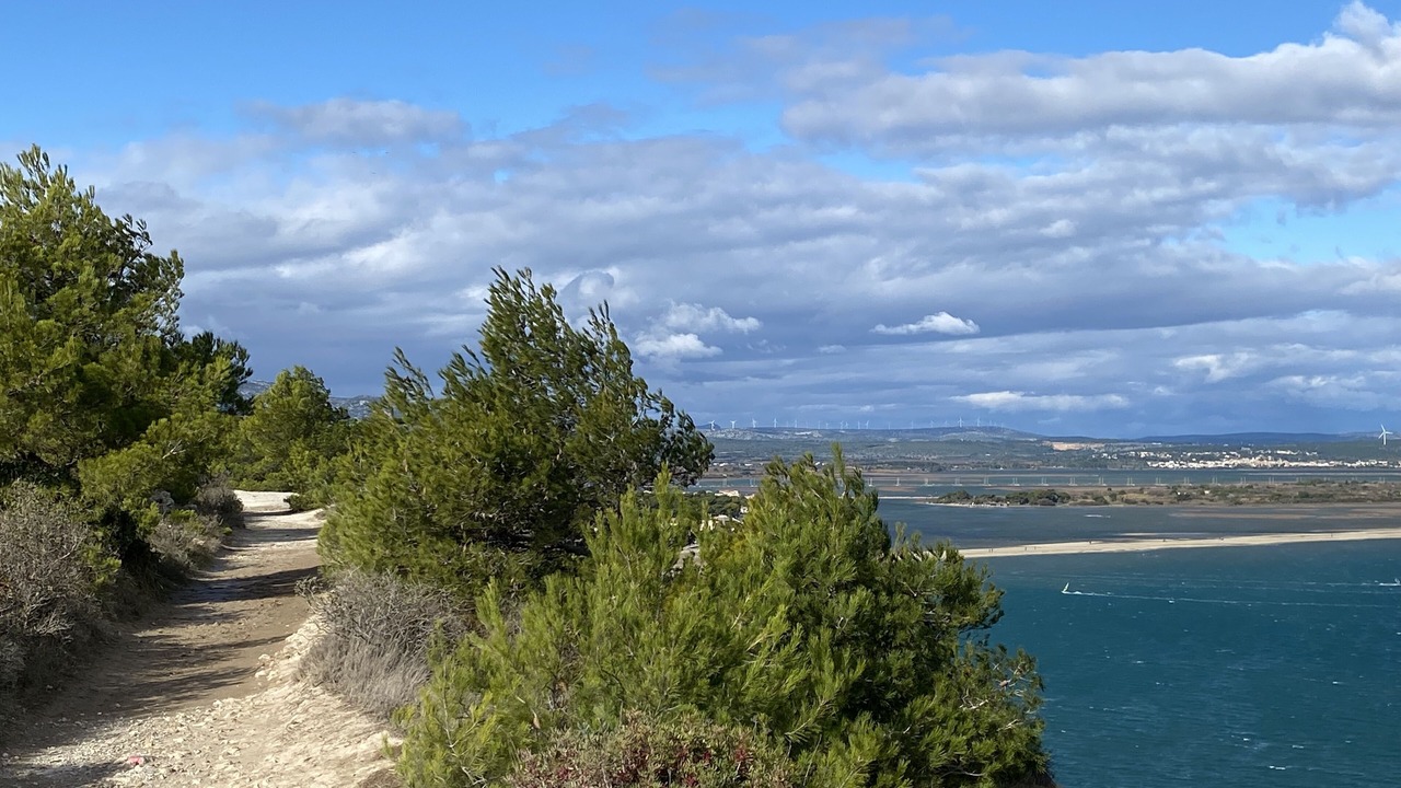 Photo of Others in La Franqui
