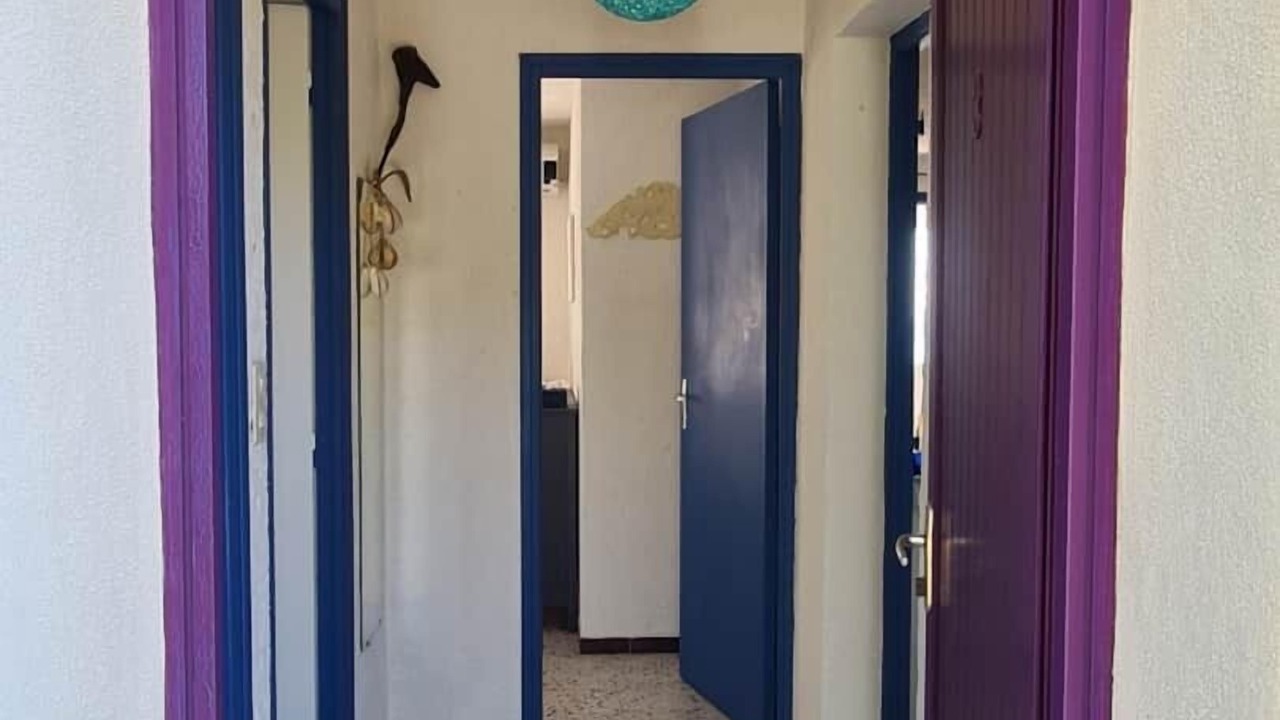 Photo of Others in Sari-Solenzara