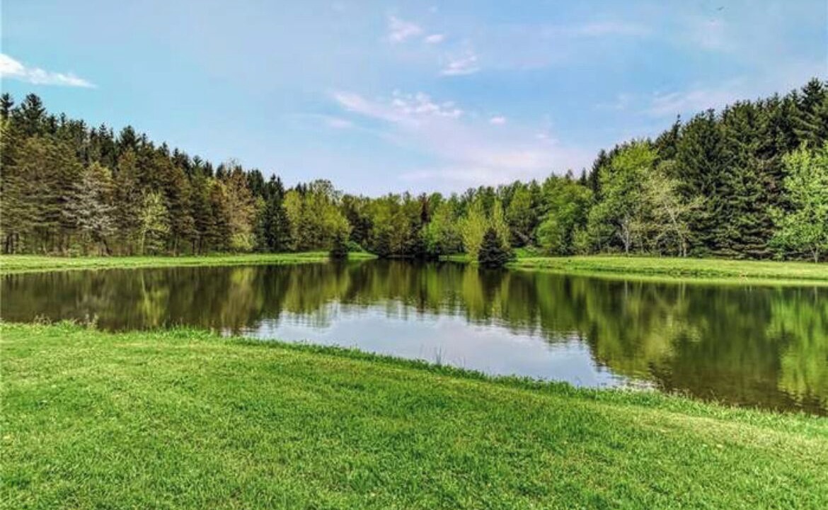 Photo of Outdoor in Gerry
