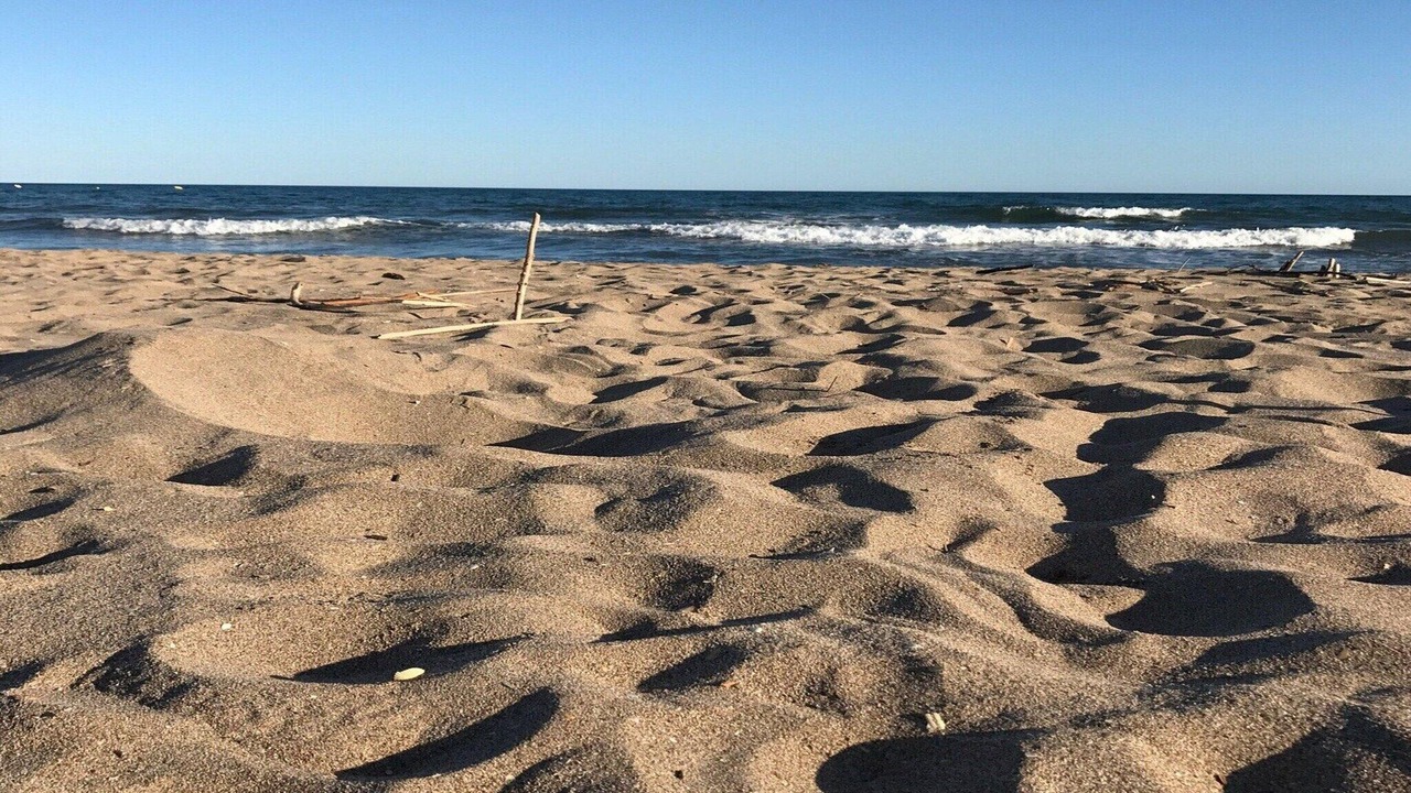 Photo of Others in Serignan