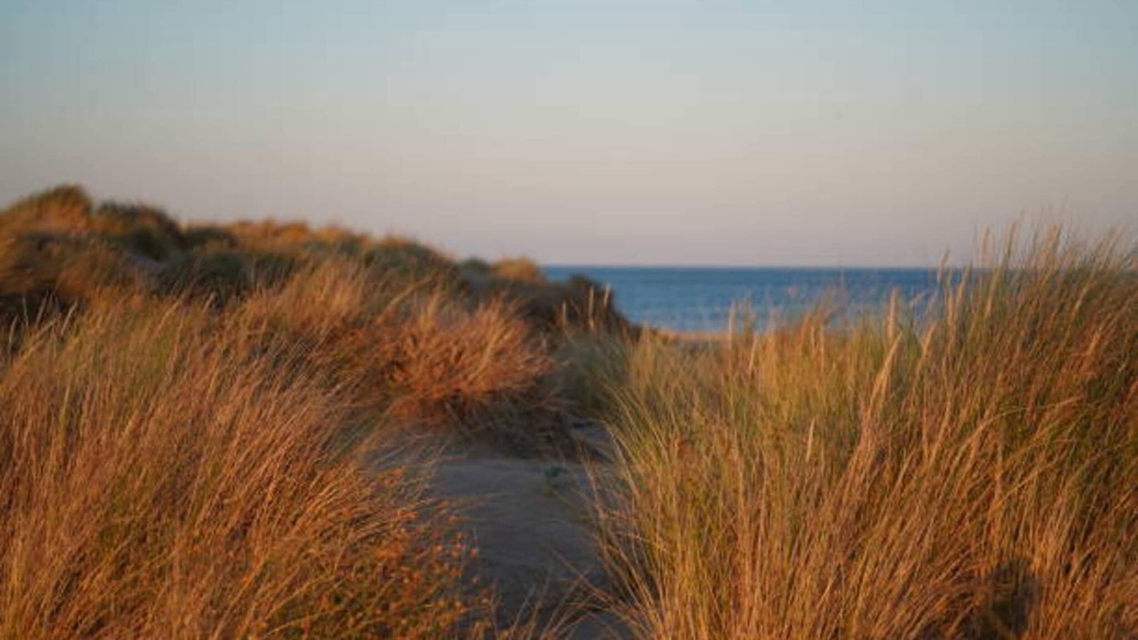 Photo of Others in Serignan