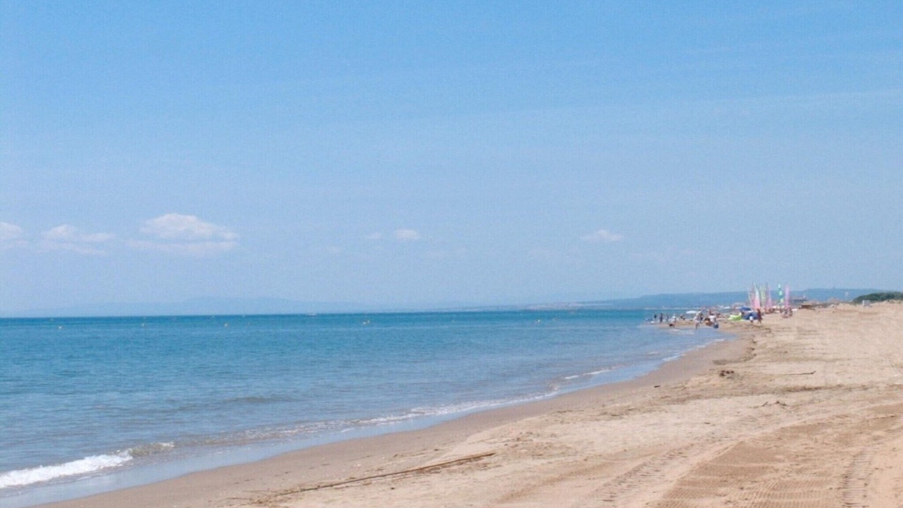 Photo of Others in Serignan