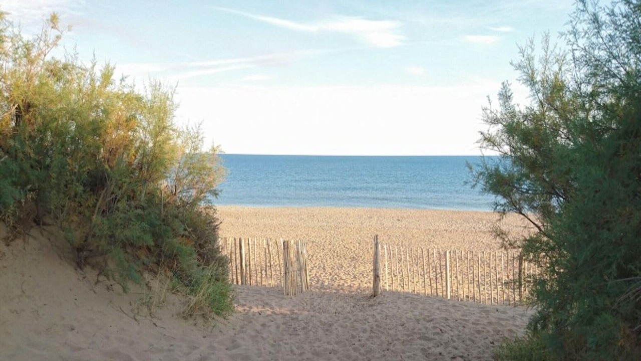 Photo of Others in Serignan