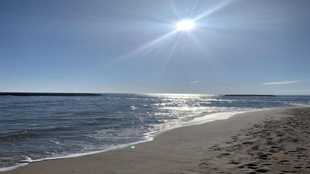 Photo of Others in Serignan