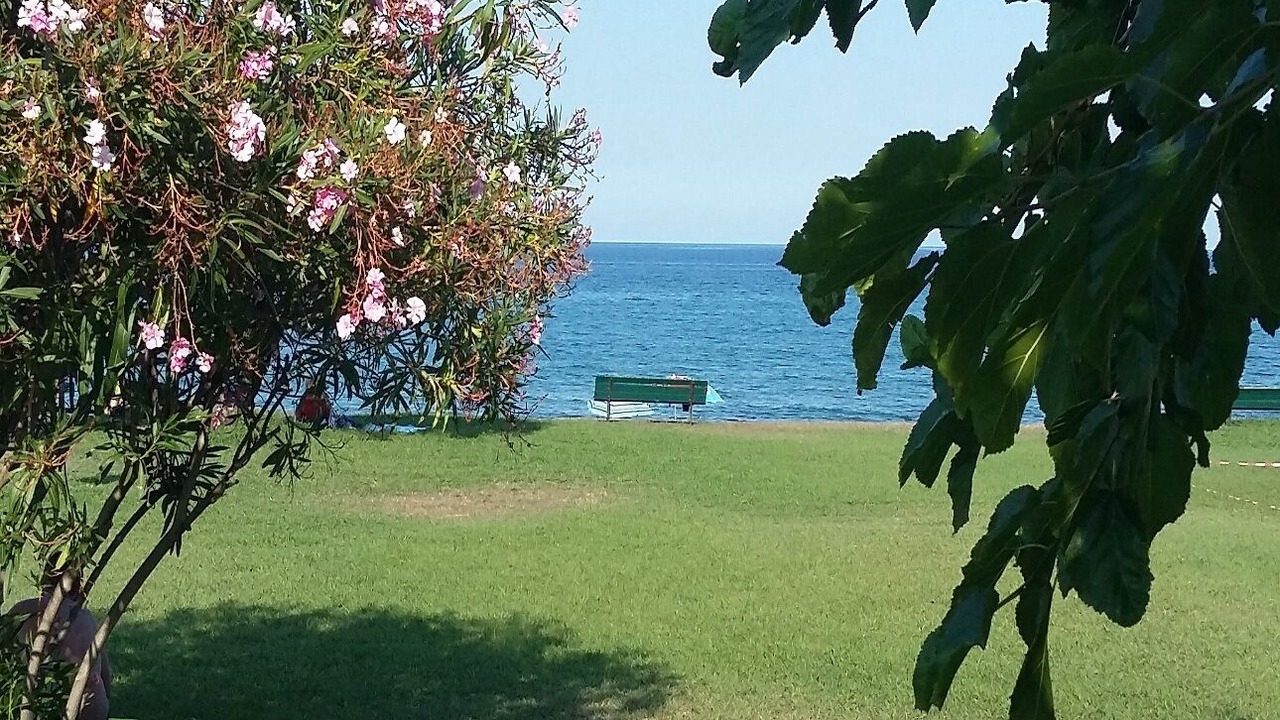 Photo of Outdoor in Prunete