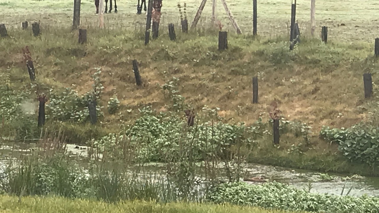 Photo of Outdoor in Pernois