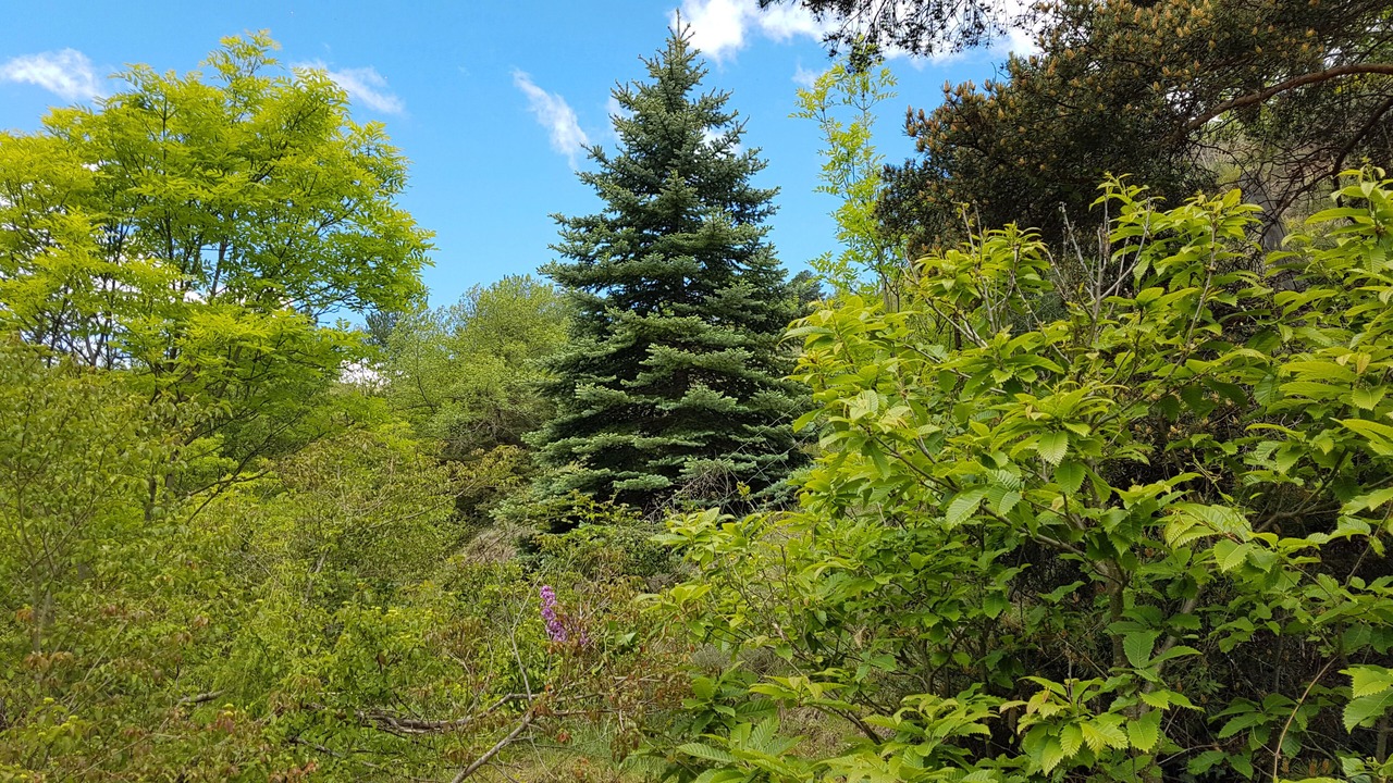 Photo of Outdoor in Nyer