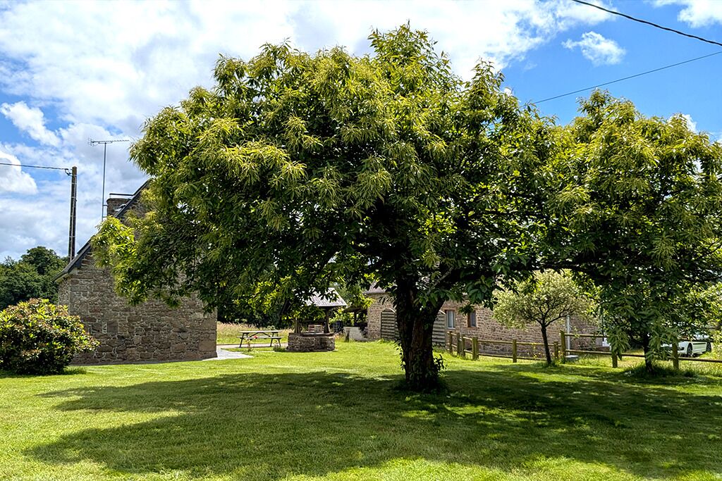 Photo of Outdoor in Saint-Georges-de-Reintembault