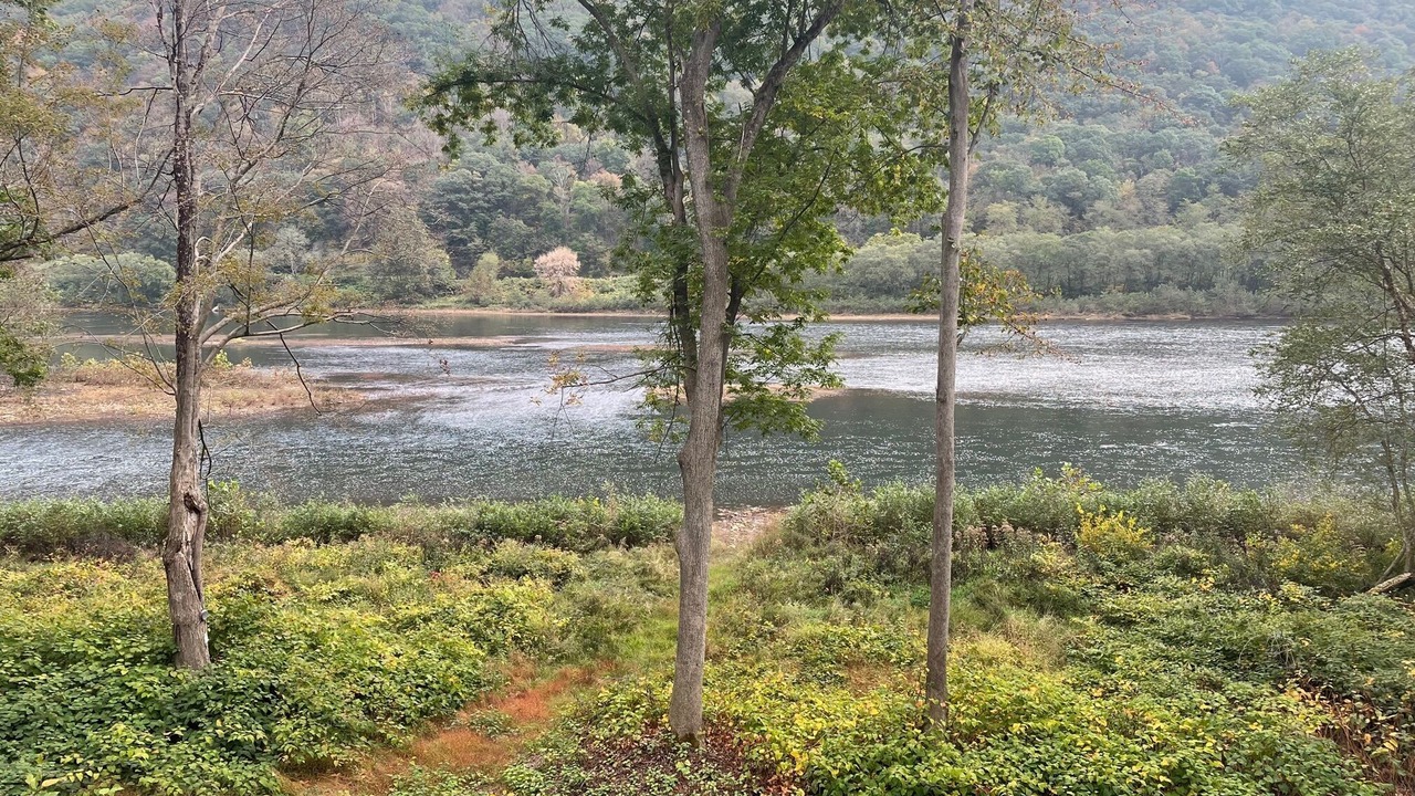 Photo of Outdoor in Farrandsville