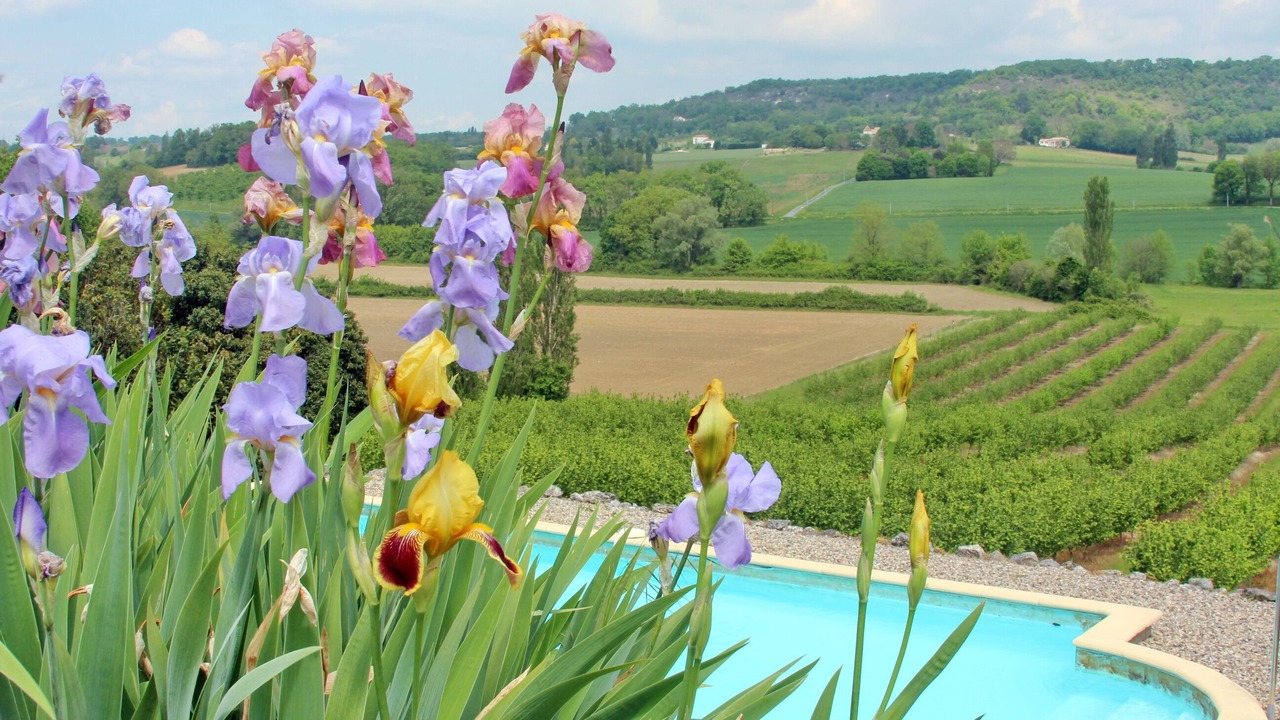 Photo of Outdoor in Tournon-d'Agenais
