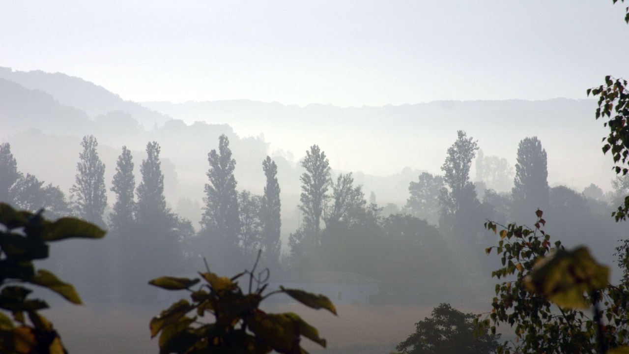 Photo of Others in Tournon-d'Agenais
