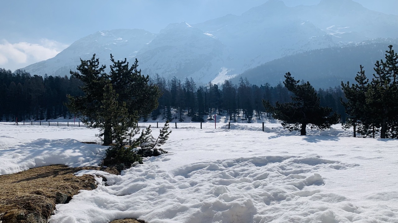 Photo of Others in St. Moritz