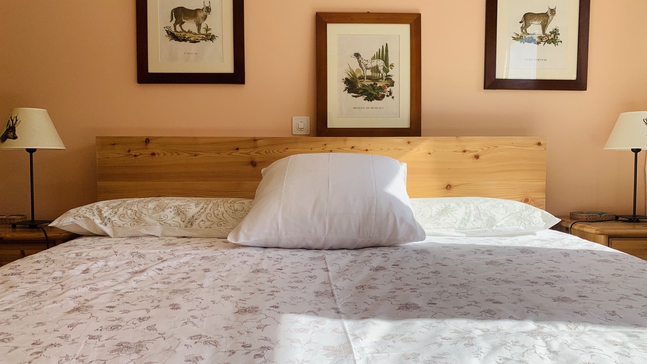 Photo of Bedroom in St. Moritz