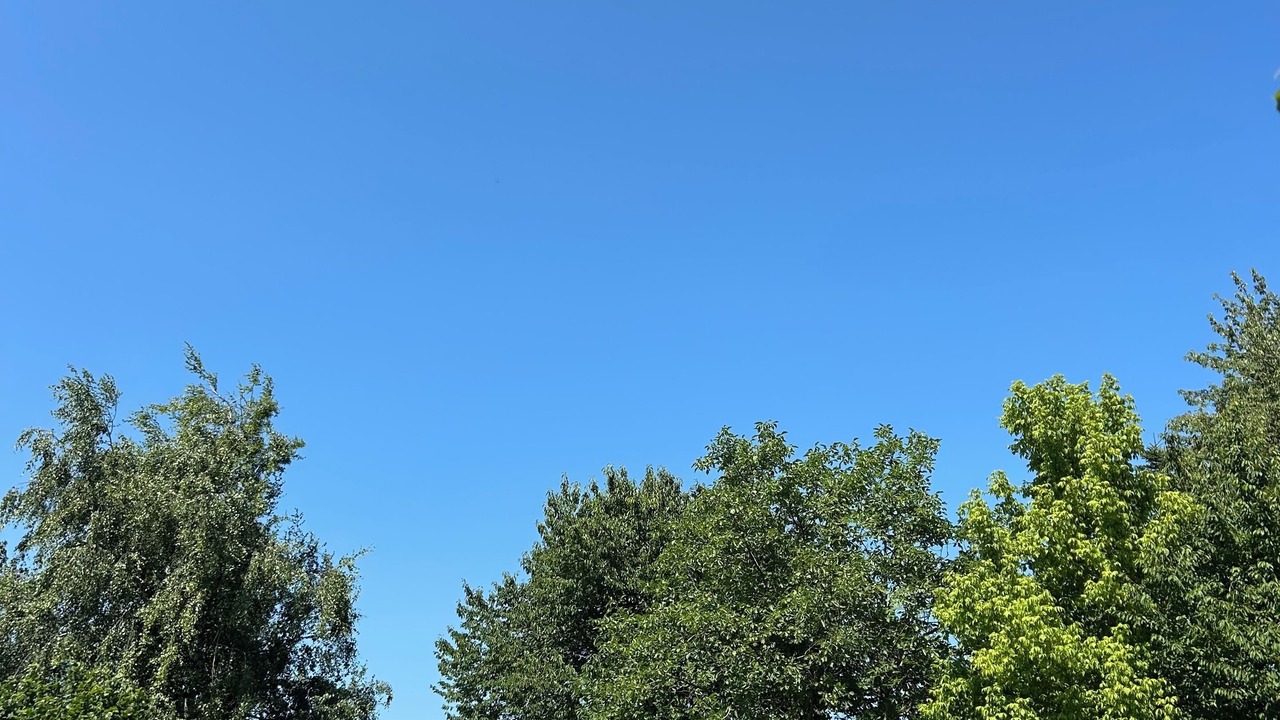 Photo of Outdoor in Willgottheim