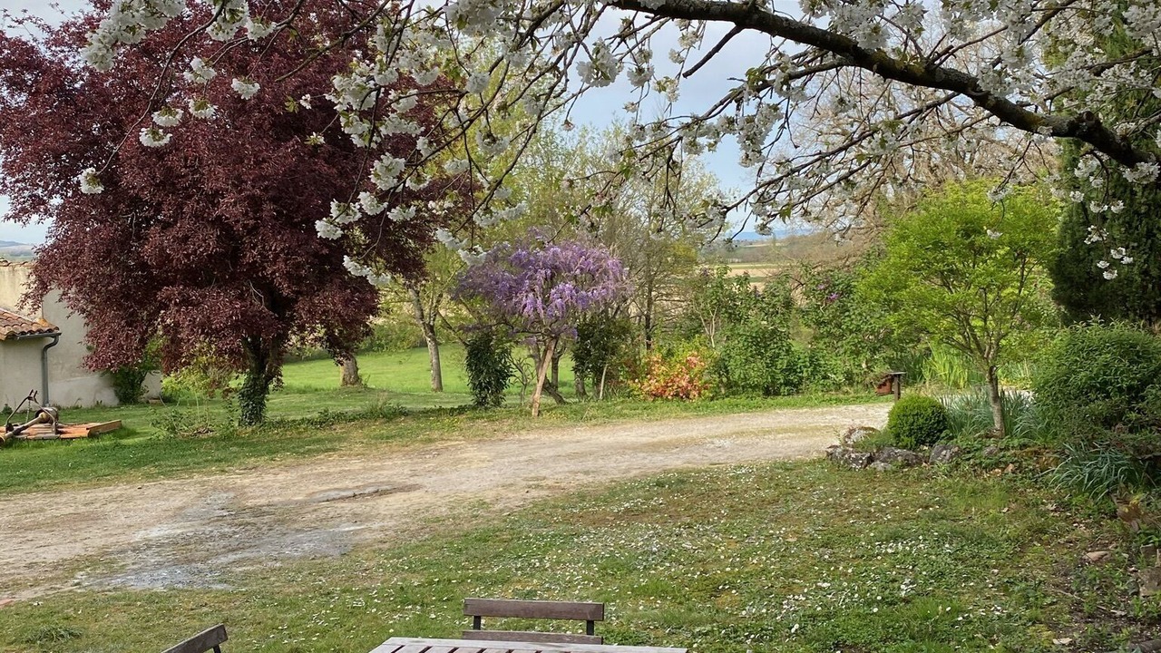 Photo of Outdoor in Belleserre