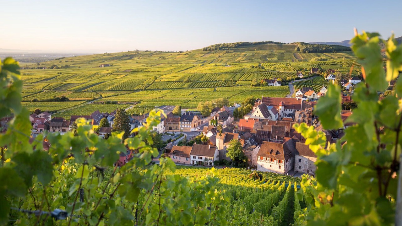 Photo of Outdoor in Colmar