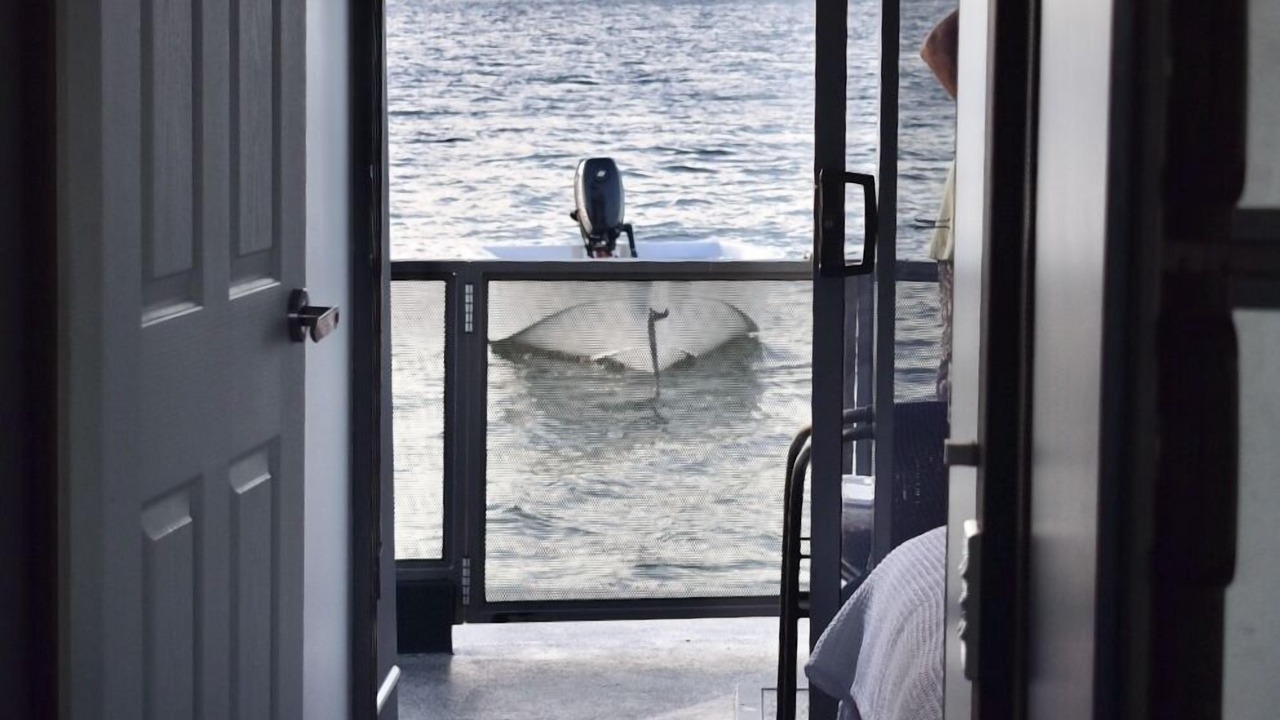 Photo of Others in Main Beach