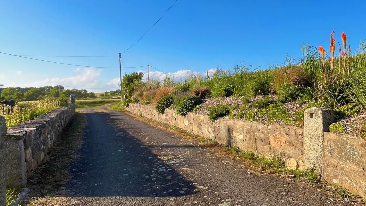 Photo of Outdoor in Saint-Michel-en-Greve