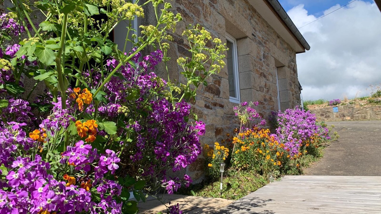 Photo of Outdoor in Saint-Michel-en-Greve