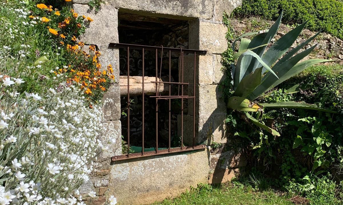 Photo of Outdoor in Saint-Michel-en-Greve