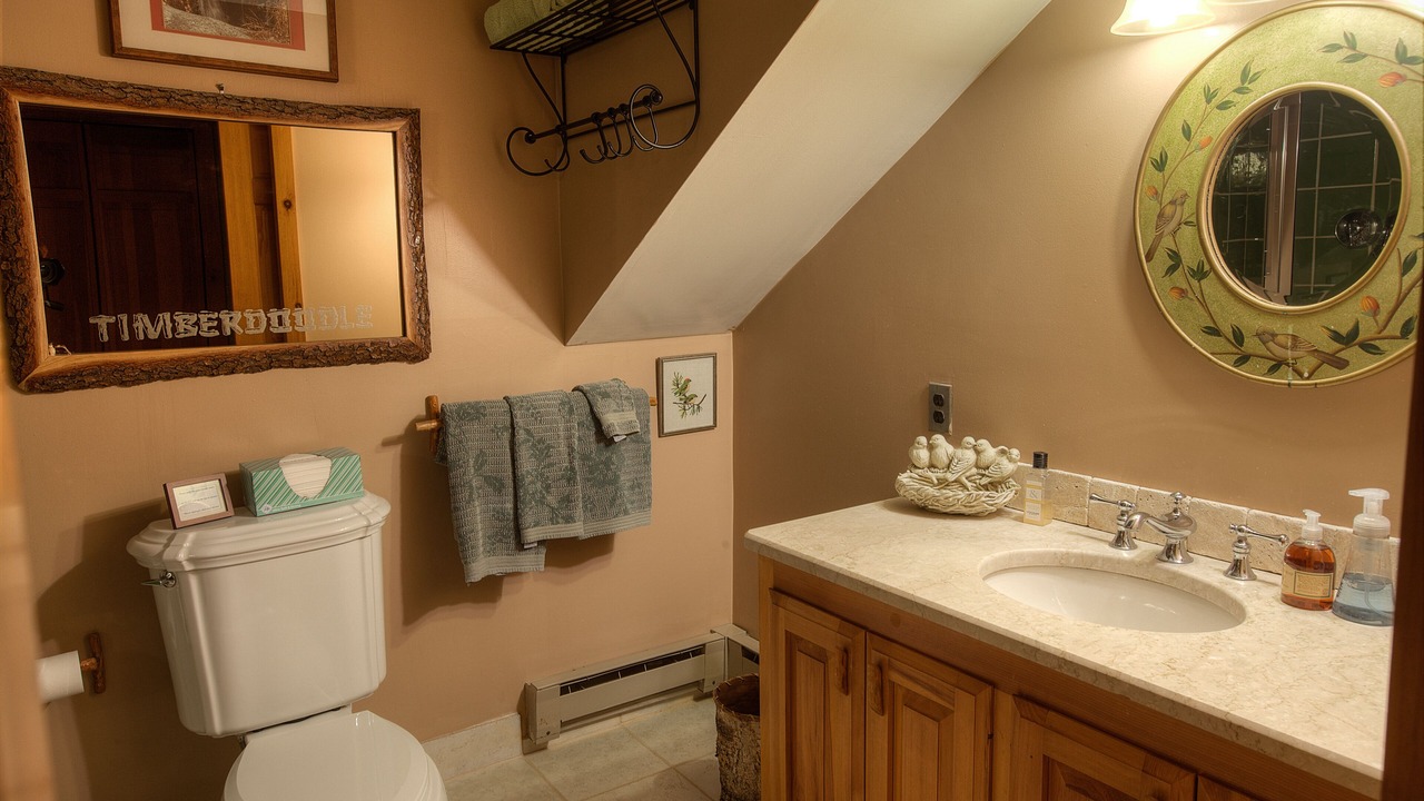 Photo of Bathroom in Lake Placid