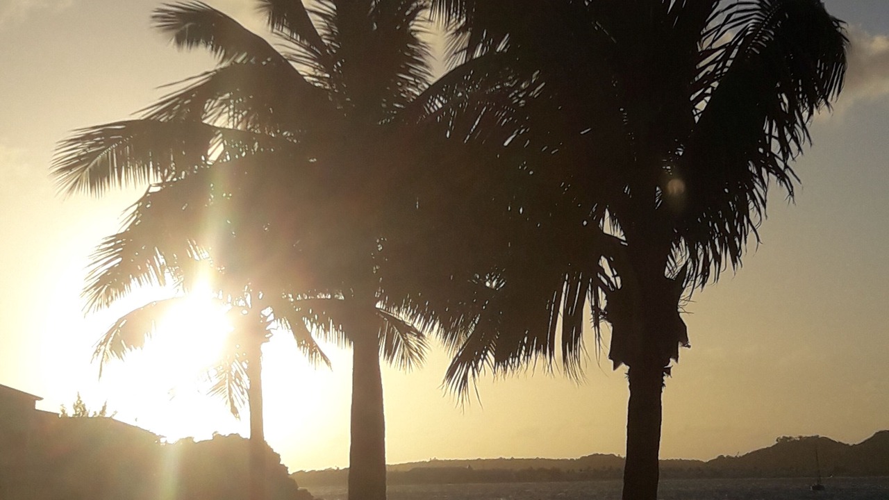 Photo of Others in Marigot