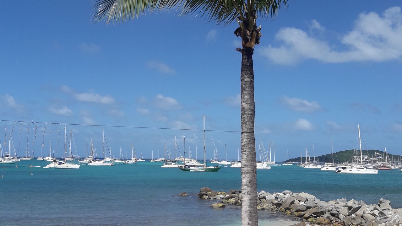 Photo of Others in Marigot