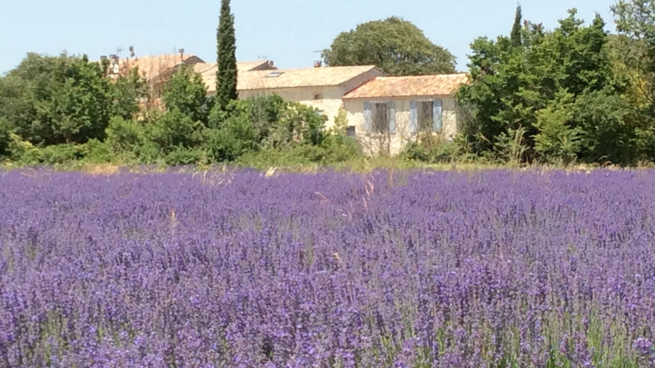 Photo of Outdoor in Vallerargues