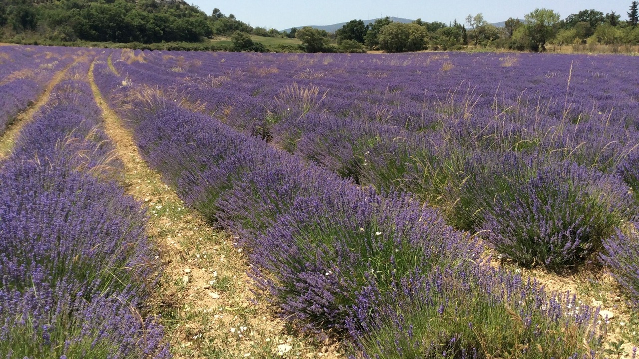 Photo of Outdoor in Vallerargues