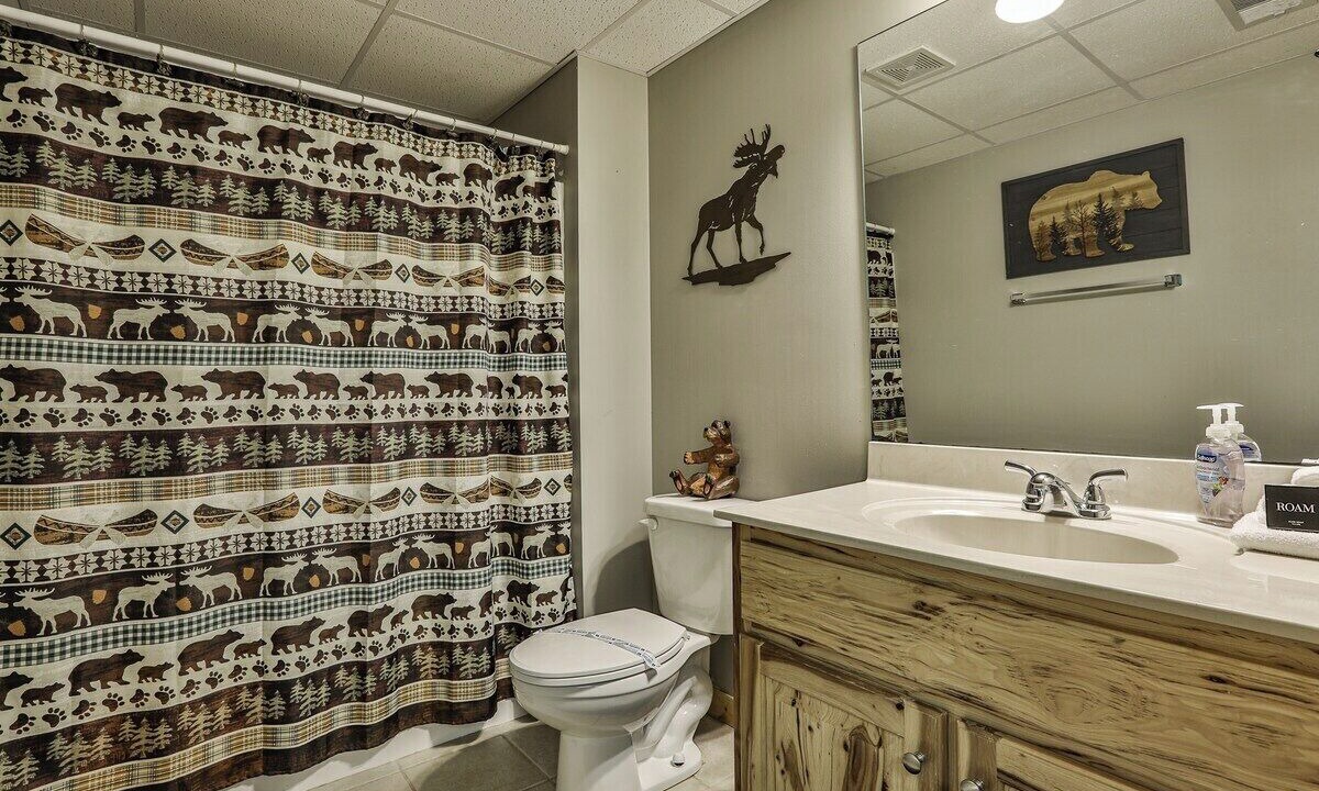Photo of Bathroom in Ellijay