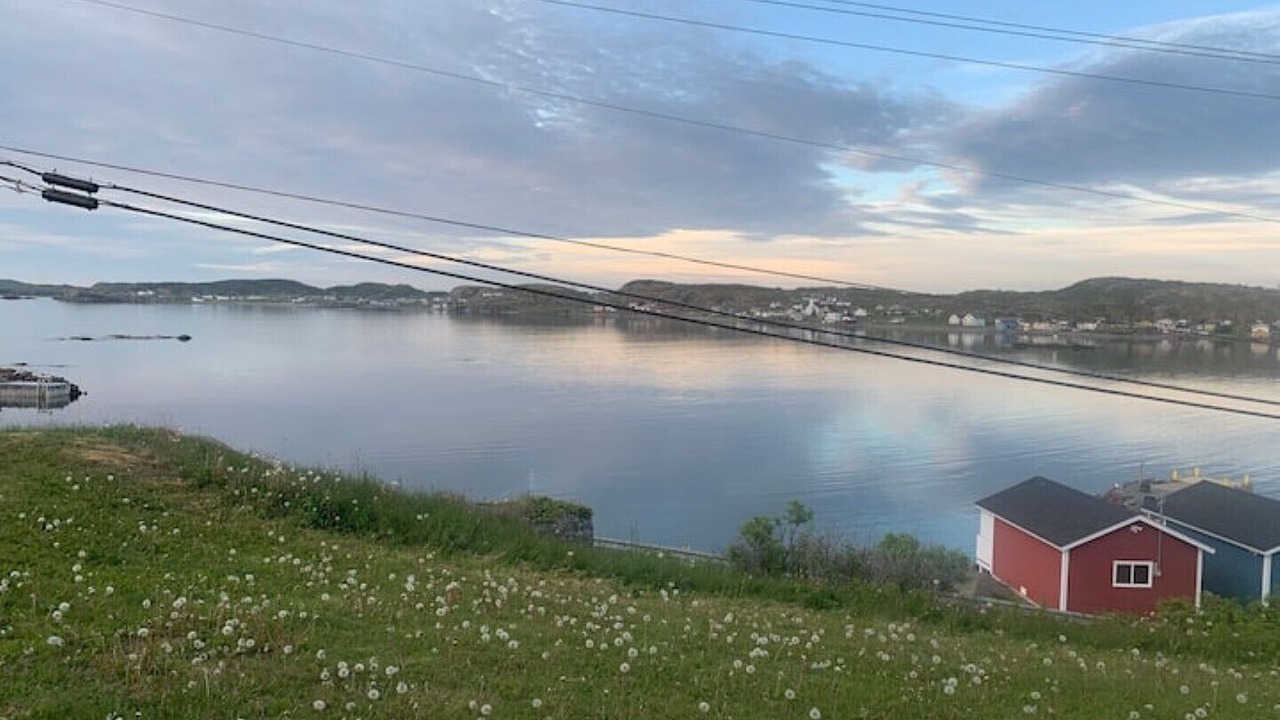 Photo of Others in Twillingate