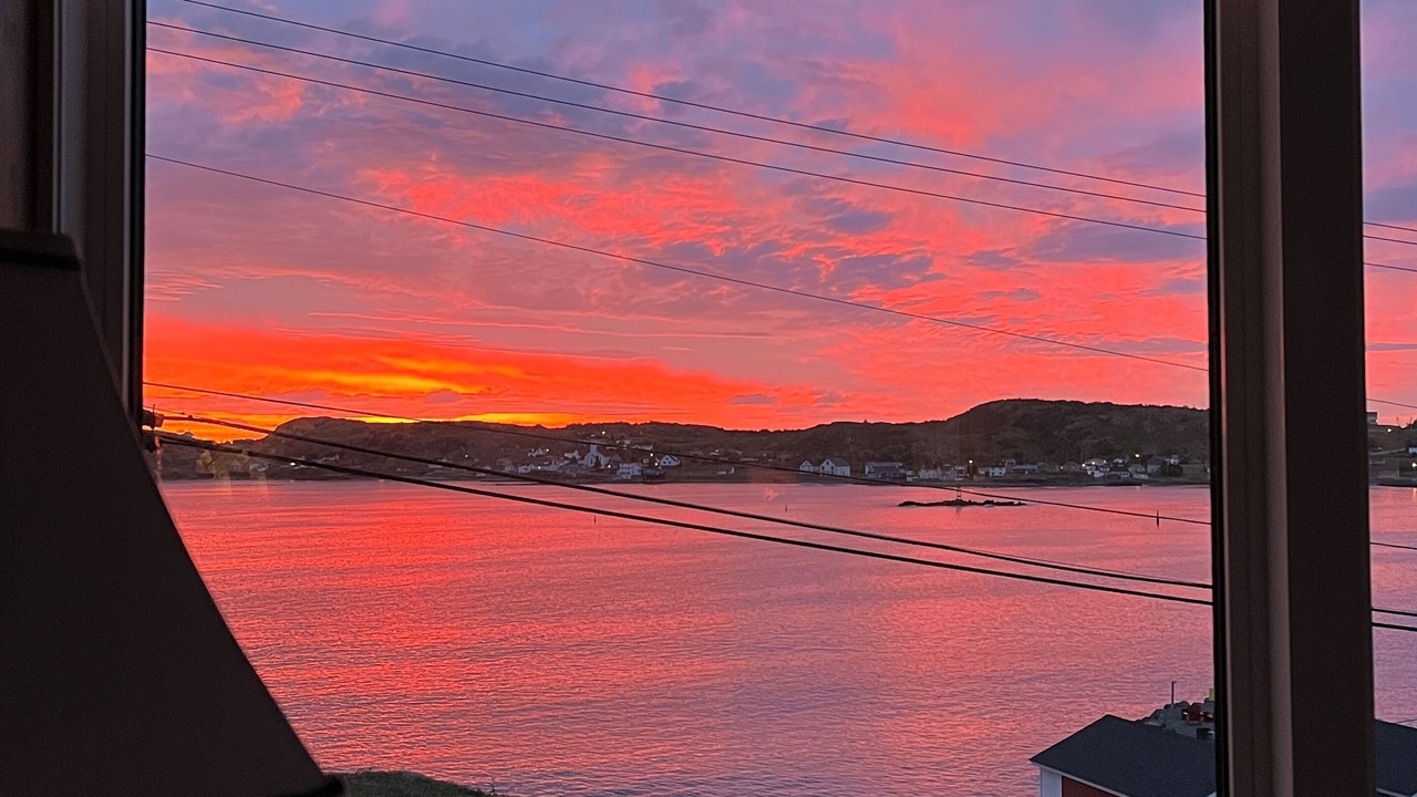 Photo of Others in Twillingate