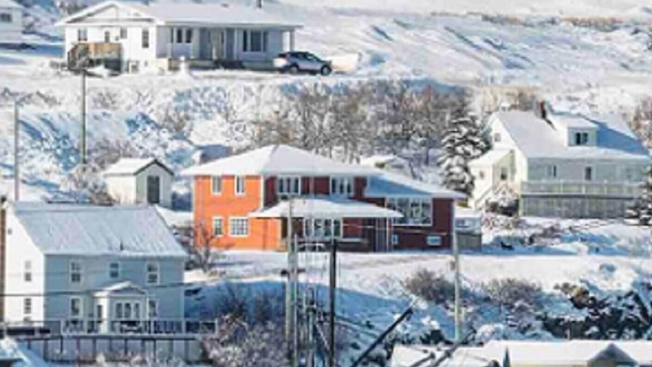 Photo of Others in Twillingate