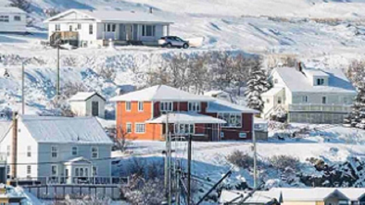 Photo of Others in Twillingate