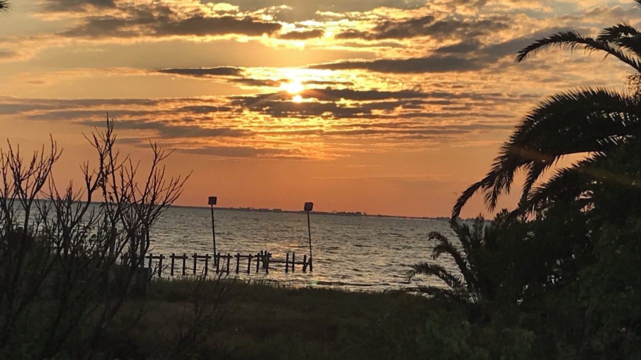 Photo of Others in Port Lavaca