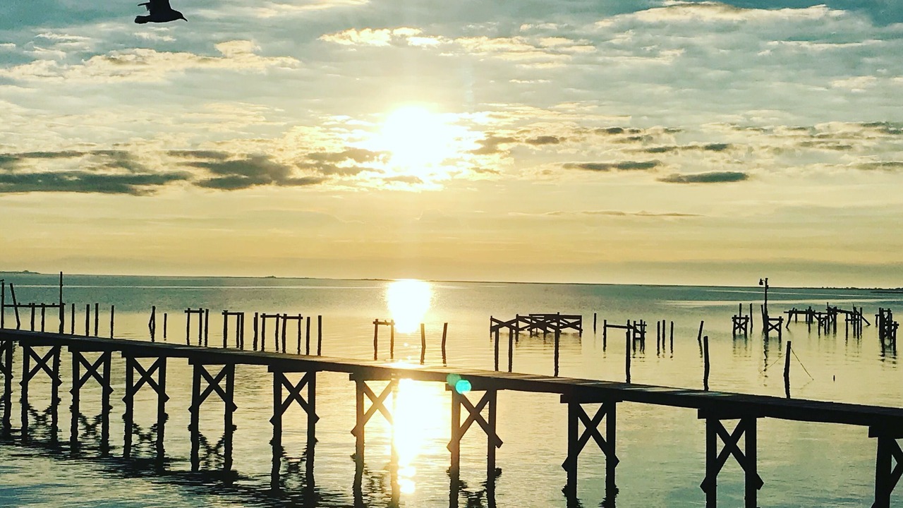 Photo of Others in Port Lavaca