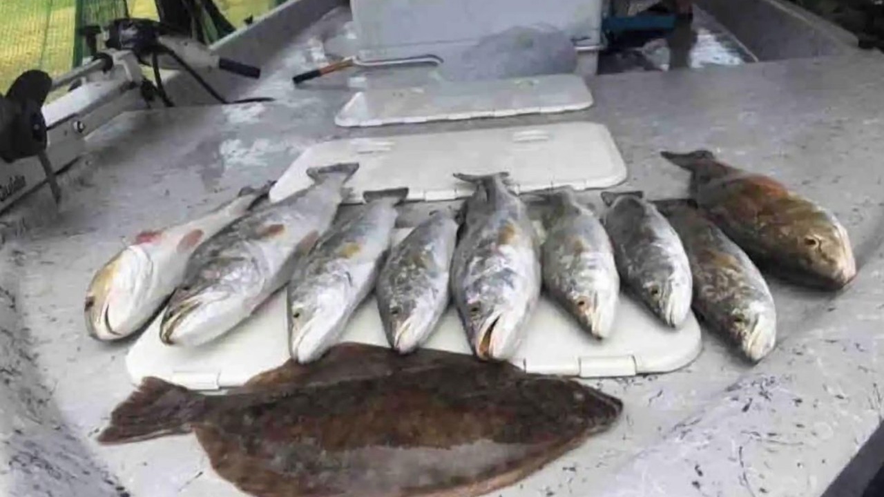 Photo of Others in Port Lavaca