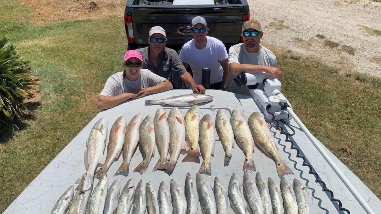 Photo of Outdoor in Port Lavaca