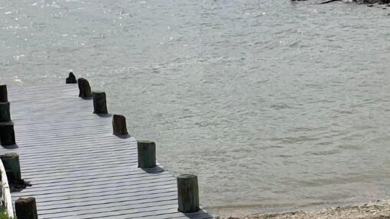 Photo of Others in Port Lavaca
